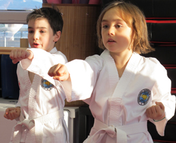 Taekwondo pour les jeunes